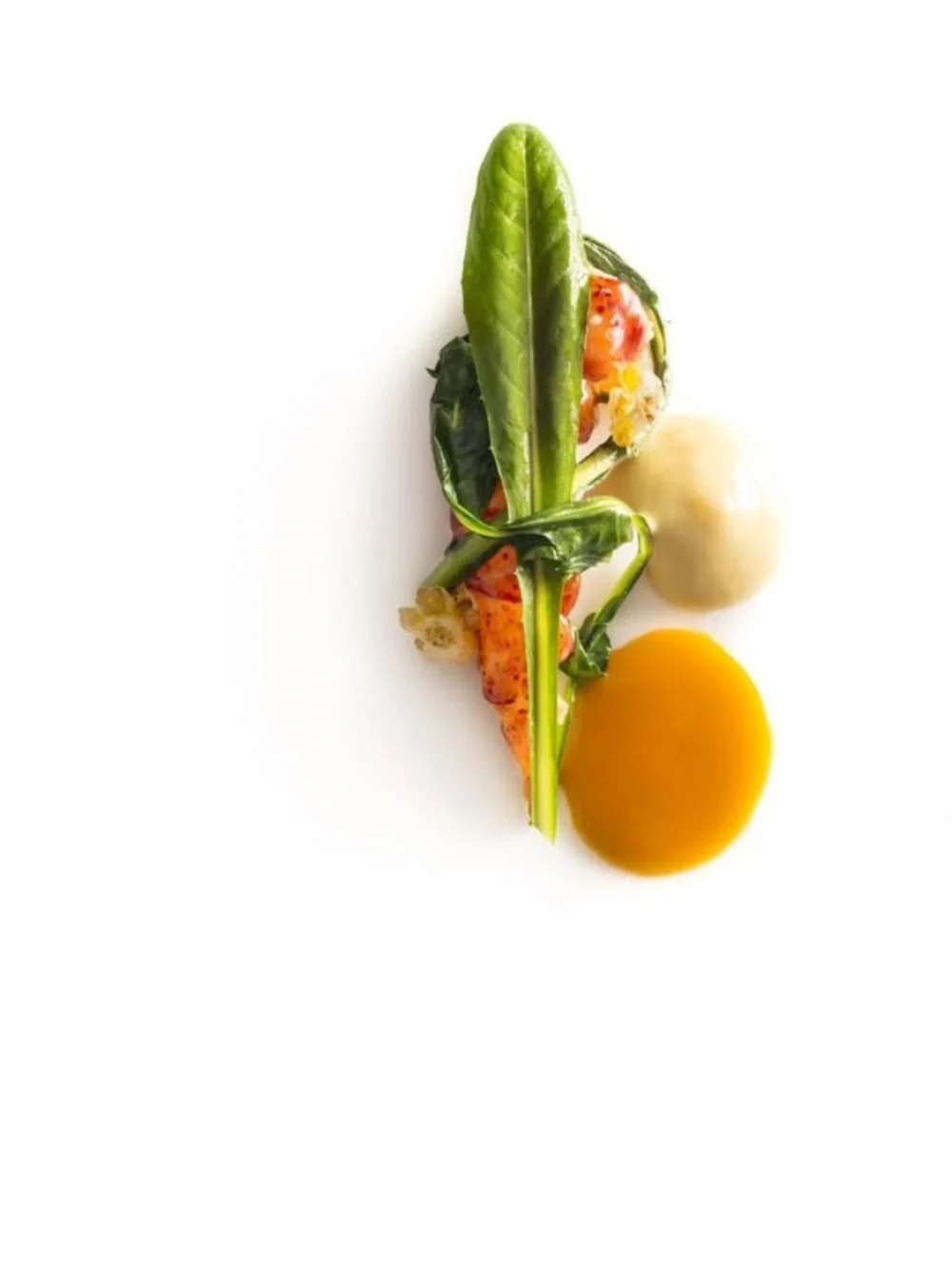 Eleven Madison Park: The Next Chapter Cookbook, Signed Limited Edition